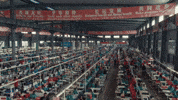 GIF by UnionDocs