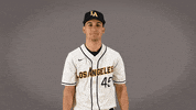 Baseball Calstatela GIF by Cal State LA Golden Eagles