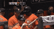 celebration usa GIF by MLB
