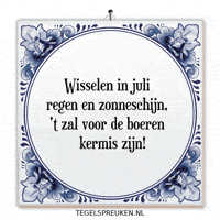 Humor Nl GIF by Tegelspreuken.nl