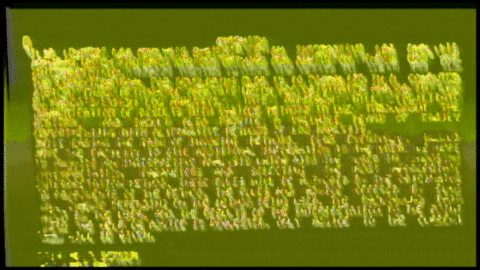 Video Art GIF by cskonopka
