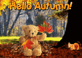 Trick Or Treat Halloween GIF