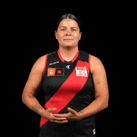 Football Celebration GIF by Essendon FC