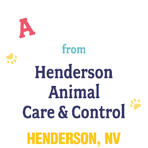 Animal Control Cat Sticker by City of Henderson