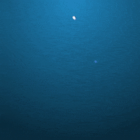 Logo Bitcoin GIF by Huobi