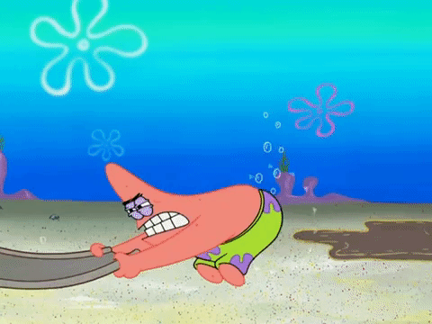 season 8 spongebob's runaway roadtrip: a squarepants family vacation GIF by SpongeBob SquarePants
