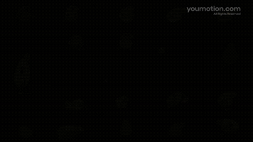Animated Animated Cartoon Frogs