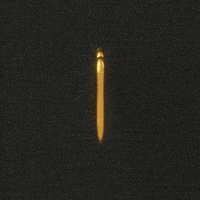 Shaka Gvc GIF by Good Vibes Club