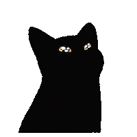 Black Cat Sticker