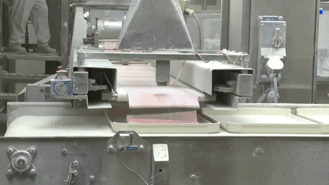 7NewsWKBW giphyupload GIF