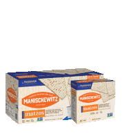 Matzah Matzo Sticker by Manischewitz