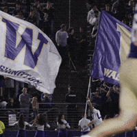 Bow Down University Of Washington GIF by Washington Athletics