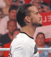 Cm Punk Whatever GIF by WWE