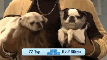 Zz Top Snl GIF by Saturday Night Live
