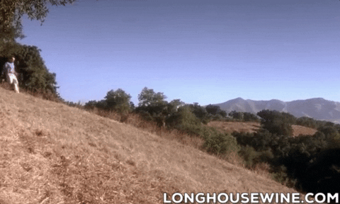 LonghouseWines giphygifgrabber wine winery wine tasting GIF