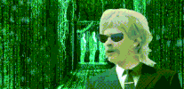 GIF by Giphy QA