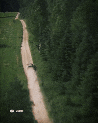 Estonia GIF by FIA World Rally Championship