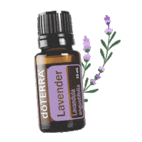 Connection Becoming Sticker by doTERRA Essential Oils