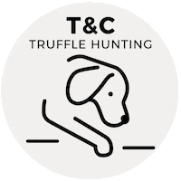 TeC_Tartufi_Truffles tradition truffle tartufo whitetruffle Sticker