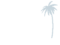 Palm Tree Summer Sticker by BOHO Curacao