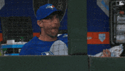torontobluejays sports baseball mlb toronto GIF