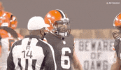 Regular Season Football GIF by NFL