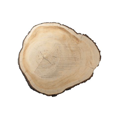 Womens Rights Art Sticker