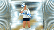Toledo Volleyball GIF by Toledo Rockets