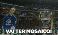 GIF by SE Palmeiras