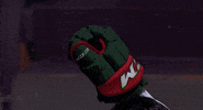 Ice Hockey GIF by NHL