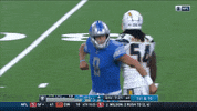lions yes celebration excited celebrate GIF