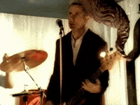hitchin' a ride GIF by Green Day