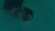 space cadet GIF by Metro Boomin