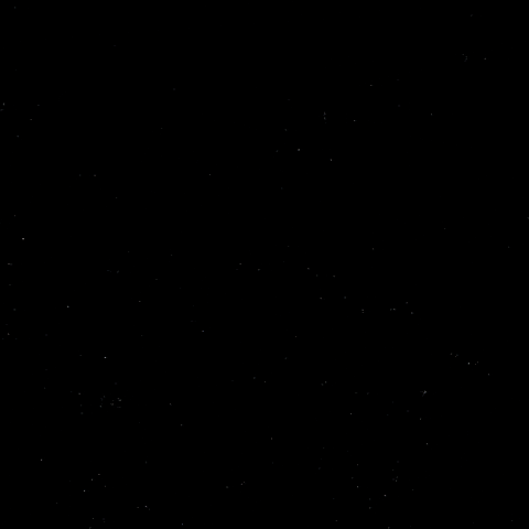 Sport Celebration GIF by Eisbären Berlin