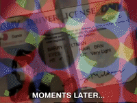 action league now nicksplat GIF