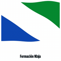 Castilla-La Mancha Flag GIF by Formación Ninja