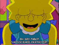 lisa simpson science experiment GIF