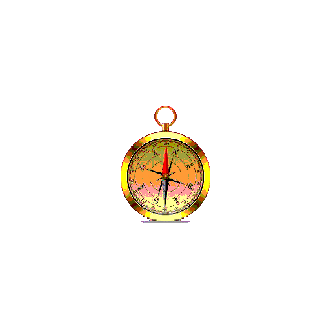 Compass Navigation Sticker by Hunter