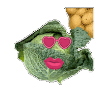 Herbst Cabbage Sticker