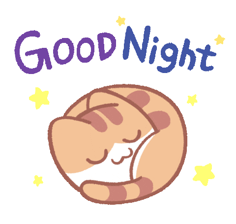 Good Night Cat Sticker