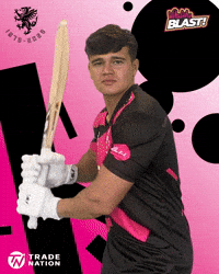 Ball Smash GIF by Somerset County Cricket Club