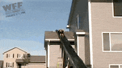 world's fails GIF by World’s Funniest