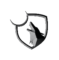 Wolf Pack Spinning Sticker by TransformPT