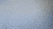Carry GIF by ECSTATIC
