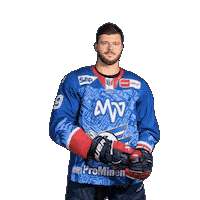 Hockey Fight Sticker by Adler Mannheim