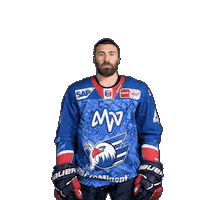 Greco Hockey Fight Sticker by Adler Mannheim