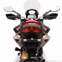 trydeal ducati 1200 multistrada GIF
