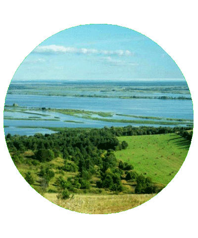 Визитроссия Sticker by kchr