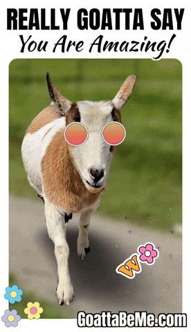 You Rock The Best GIF by Goatta Be Me Goats! Adventures of Java, Toffee, Pumpkin and Cookie!