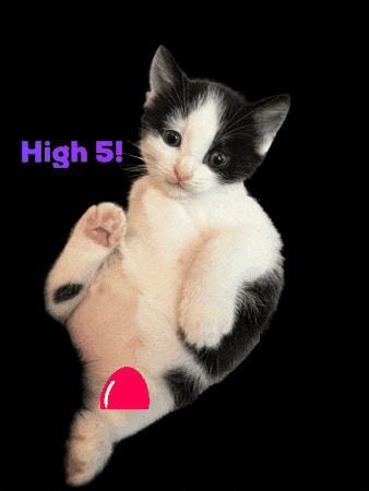 High Five GIF